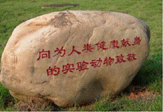 说明: http://sxgla.com/a/4_wps_clip_image-2582.png